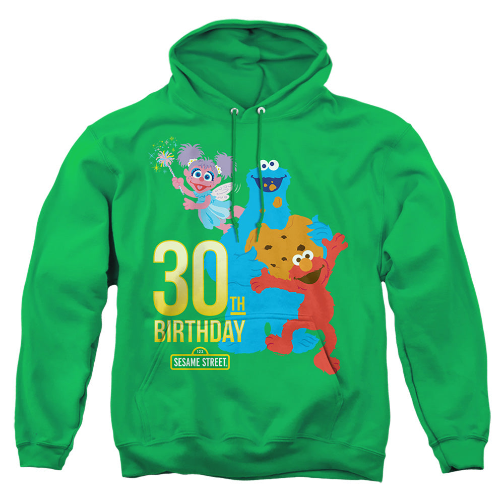 Sesame Street 30Th Birthday Mens Hoodie Kelly Green Officially Licensed