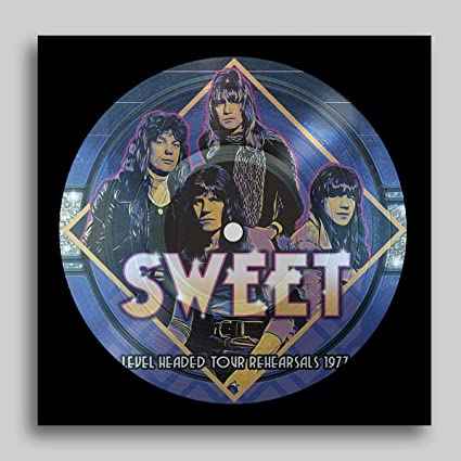 LEVEL HEADED TOUR REHEARSALS 1977 (PICTURE DISC) [Vinyl]
