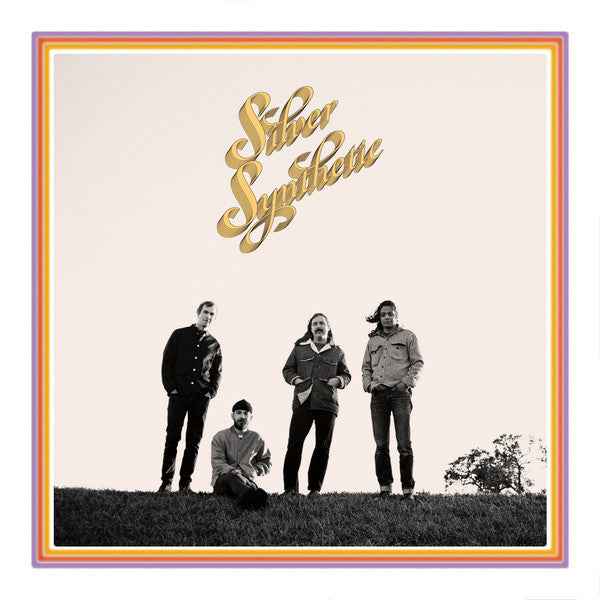 Silver Synthetic [Vinyl]