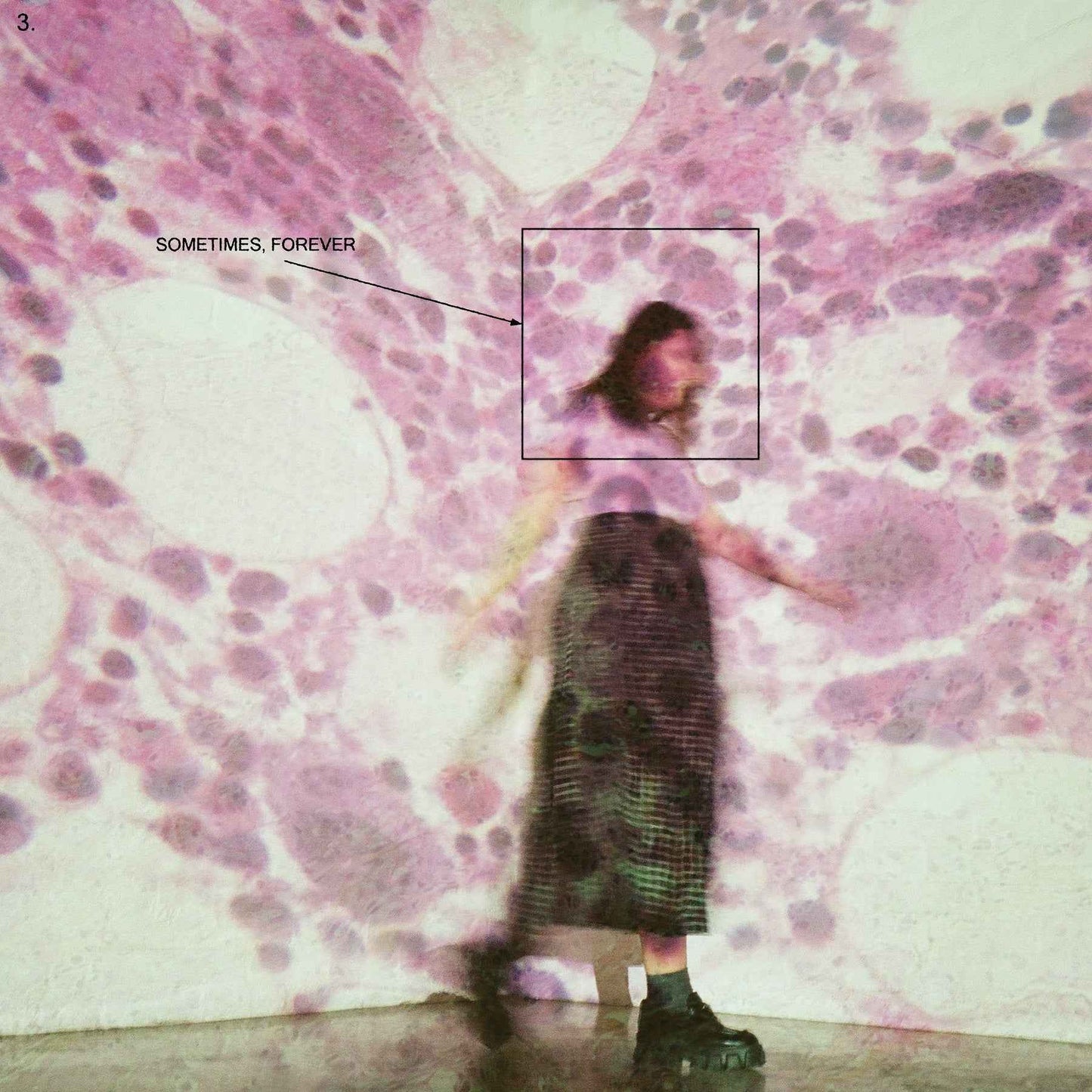 Sometimes, Forever [LP] [Vinyl]