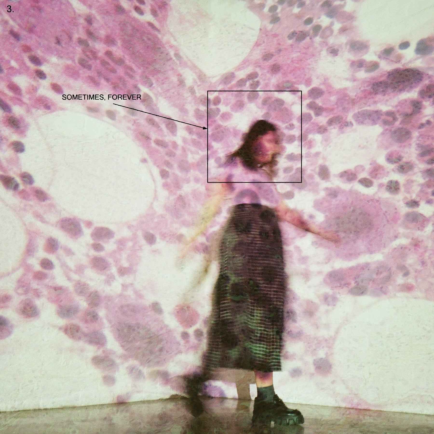 Sometimes, Forever [LP] [Vinyl]