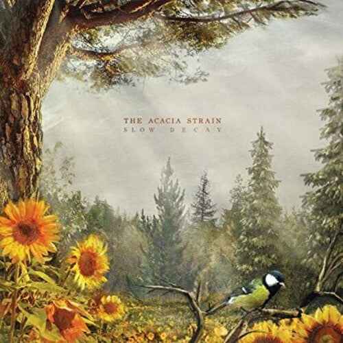 Slow Decay [Vinyl]