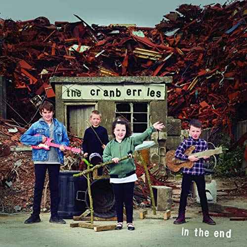 IN THE END [Vinyl]