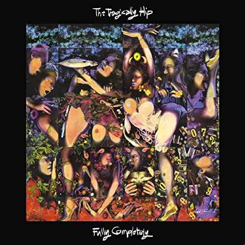 Fully Completely [30th Anniversary Deluxe 3 LP/Blu-ray Box Set] [Vinyl]