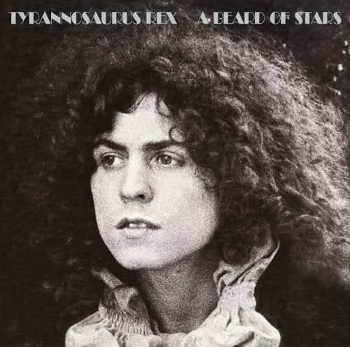 A Beard Of Stars [Vinyl]