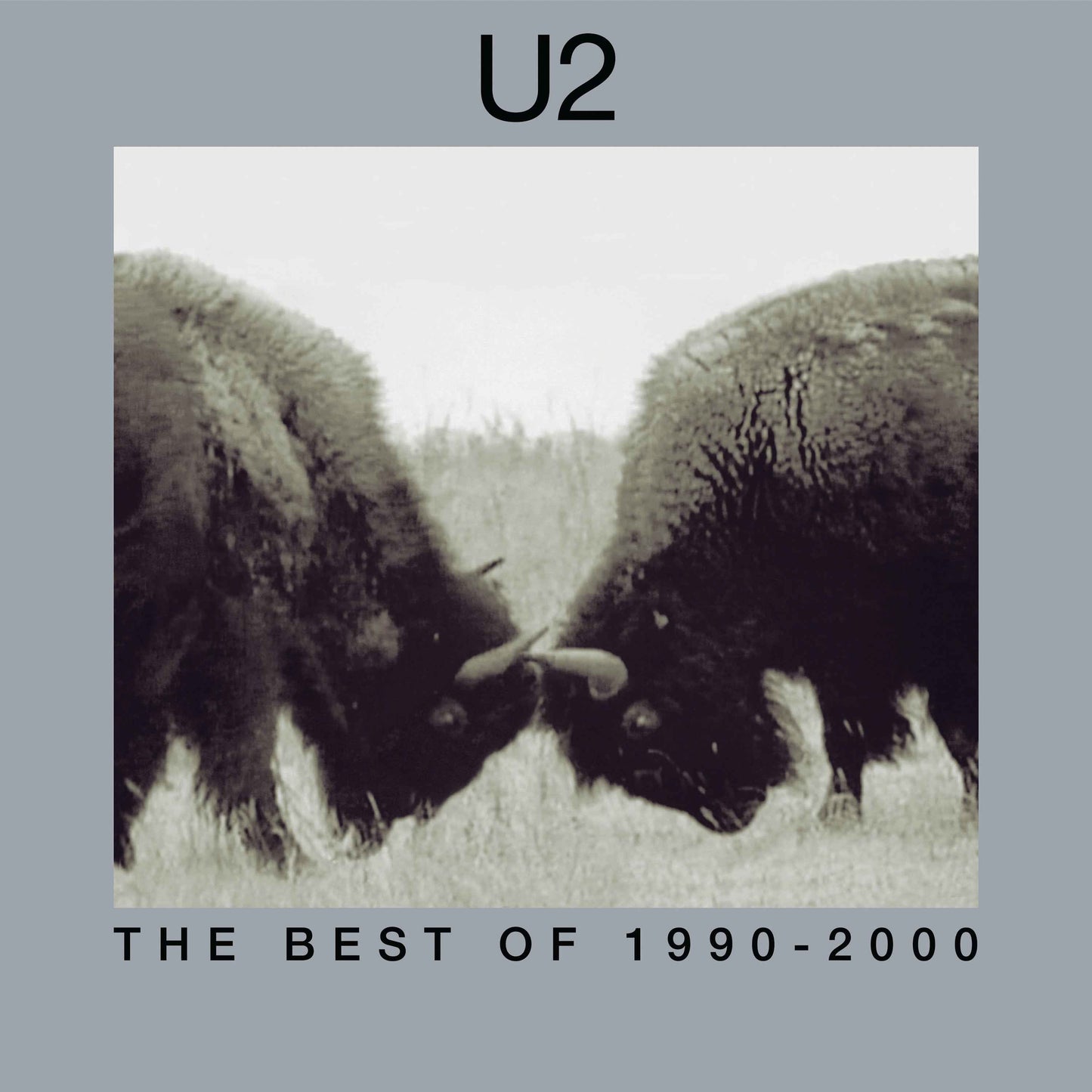U2 - The Best Of 1990-2000 [2 LP] [Vinyl]