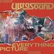 Everything Picture (Deluxe Edition) [Vinyl]