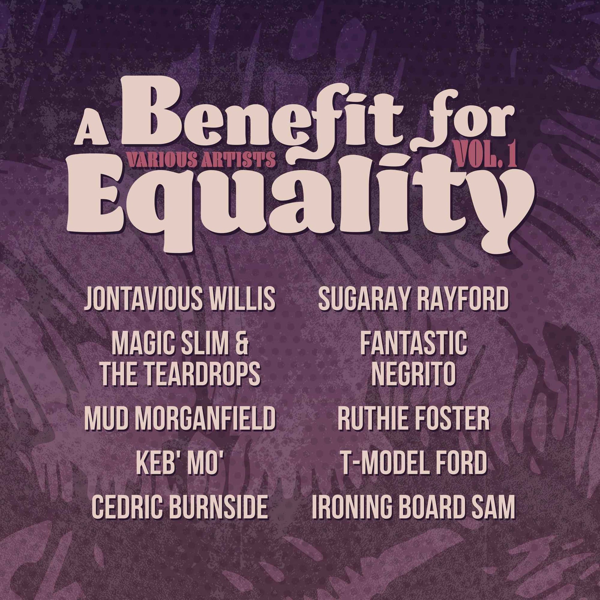 Various Artists - Benefit For Equality 1 (Limited Edition, Indie Exclusive) [Vinyl]