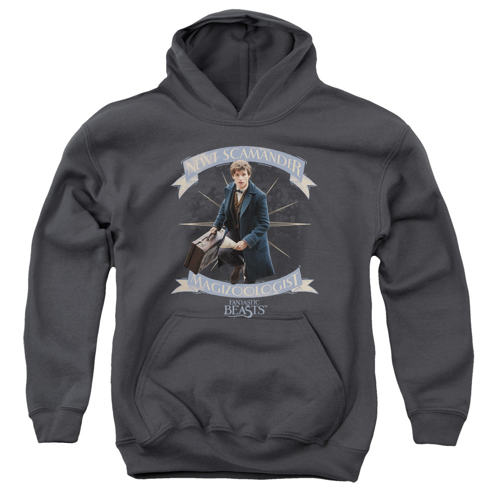 Fantastic Beasts Newt Scamander Kids Youth Hoodie Charcoal Officially Licensed