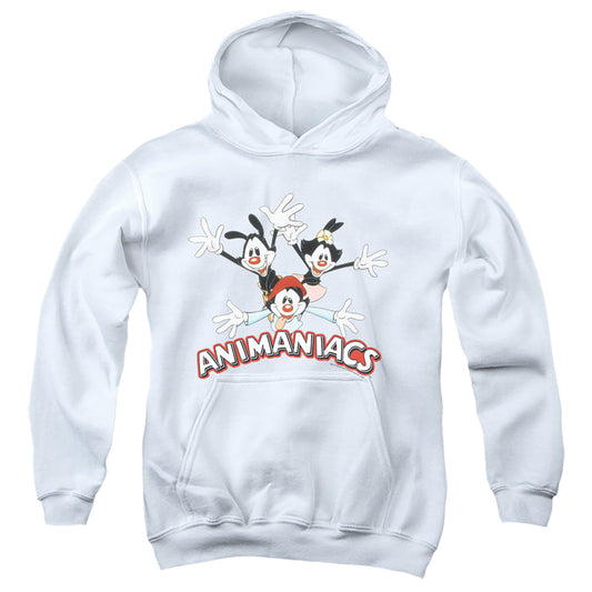 Animaniacs Animaniacs Trio Kids Youth Hoodie White Officially Licensed