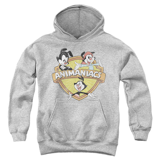 Animaniacs Shielded Animaniacs Kids Youth Hoodie Athletic Heather Officially Licensed
