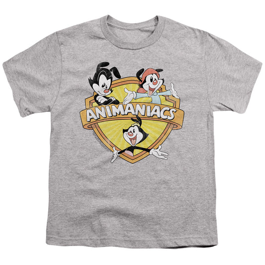 Animaniacs Shielded Animaniacs Kids Youth T Shirt Athletic Heather Officially Licensed