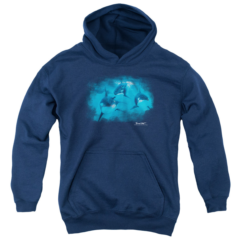 Wildlife Pod Of Orcas Kids Youth Hoodie Navy