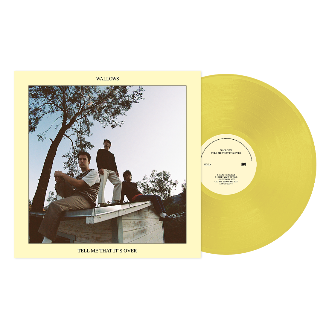 Wallows - Tell Me That It's Over [Vinyl]