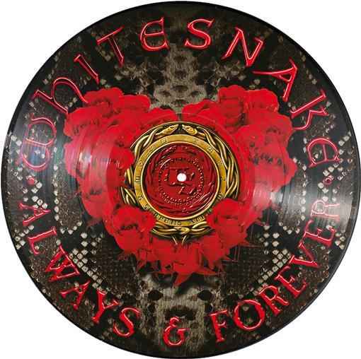 Always & Forever [Vinyl]
