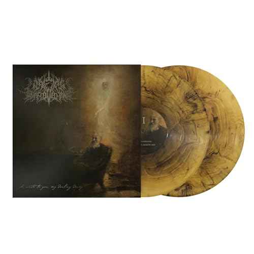 I Write To You, My Darling Decay [Vinyl]