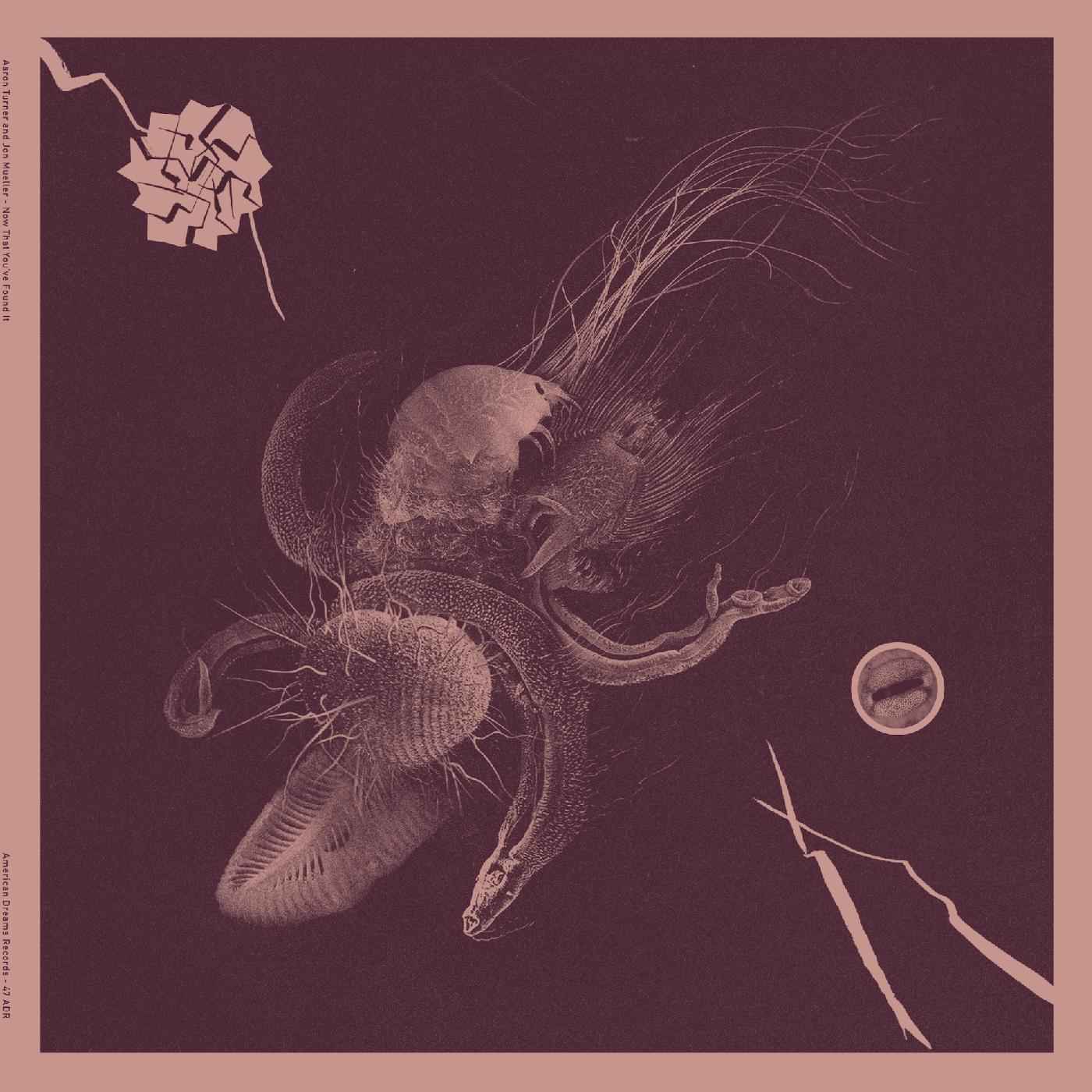 Now That You've Found It [Vinyl]