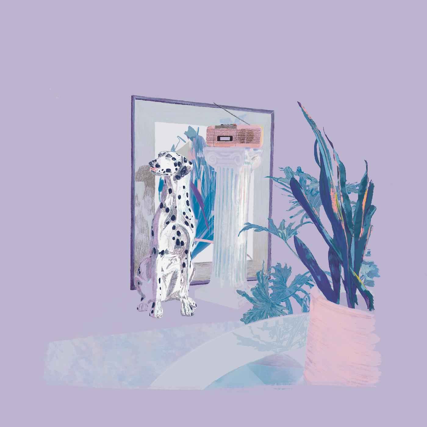 shapes & colors [CD]