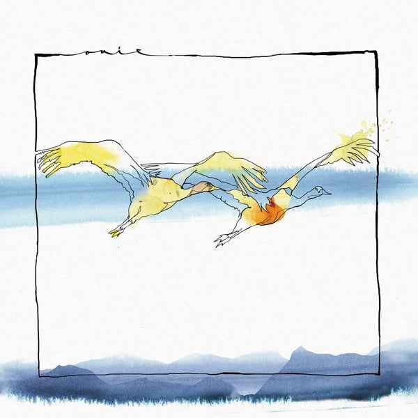 Vola [Vinyl]