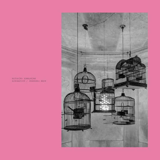 Acrobatizm / Prepared Wave (2LP Pink) [Vinyl]