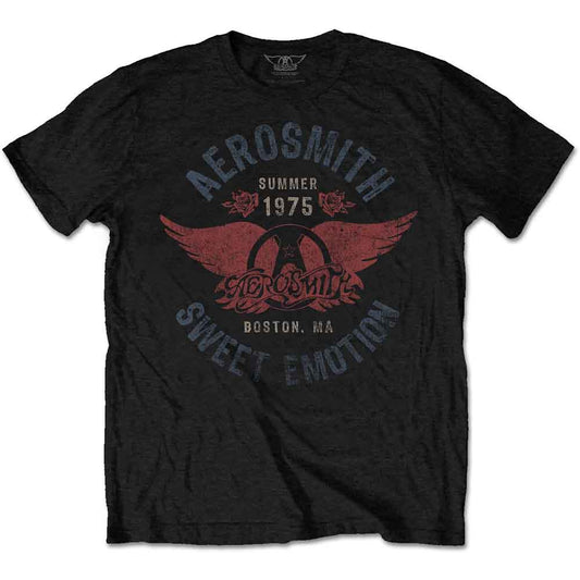 Aerosmith Sweet Emotion [T-Shirt] Black