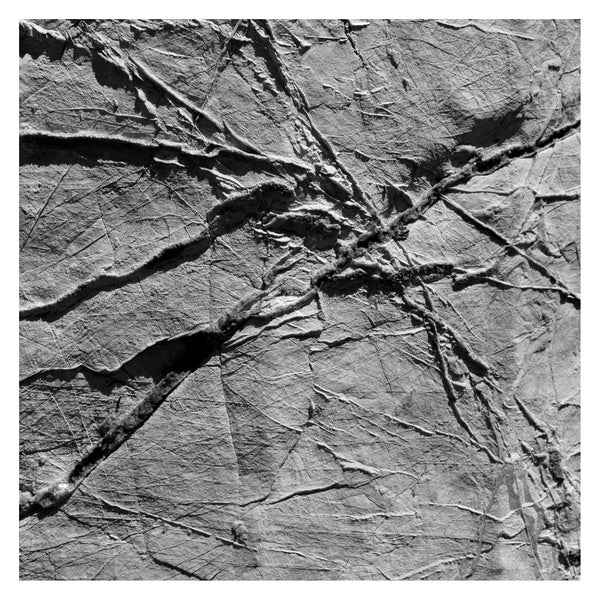 Arachnesound [CD]