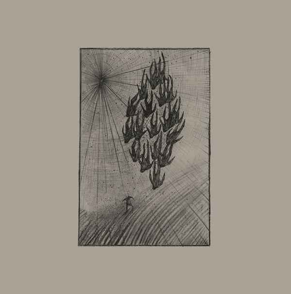 AINE O'DWYER - Locusts [Vinyl]