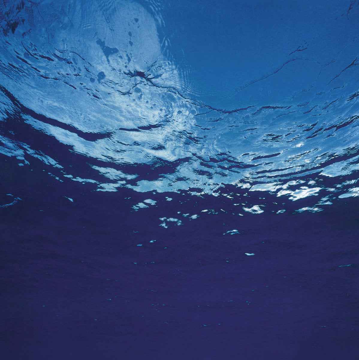 Marine Flowers [Vinyl]