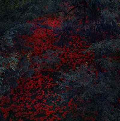 ALEX COBB - Marigold and Cable [Vinyl]