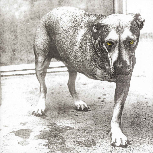 Alice In Chains (30Th Anniversary Reissue) [Color Vinyl] [2LP] [Vinyl]