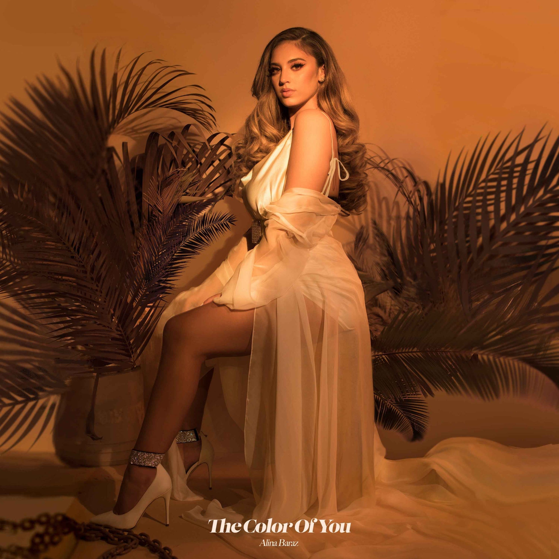 The Color Of You [CD]