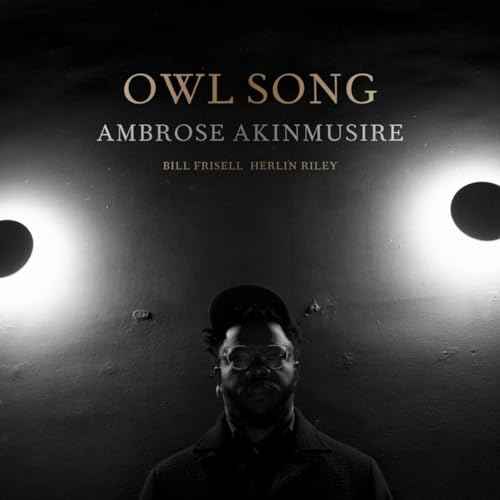 Ambrose Akinmusire - Owl Song [Vinyl]