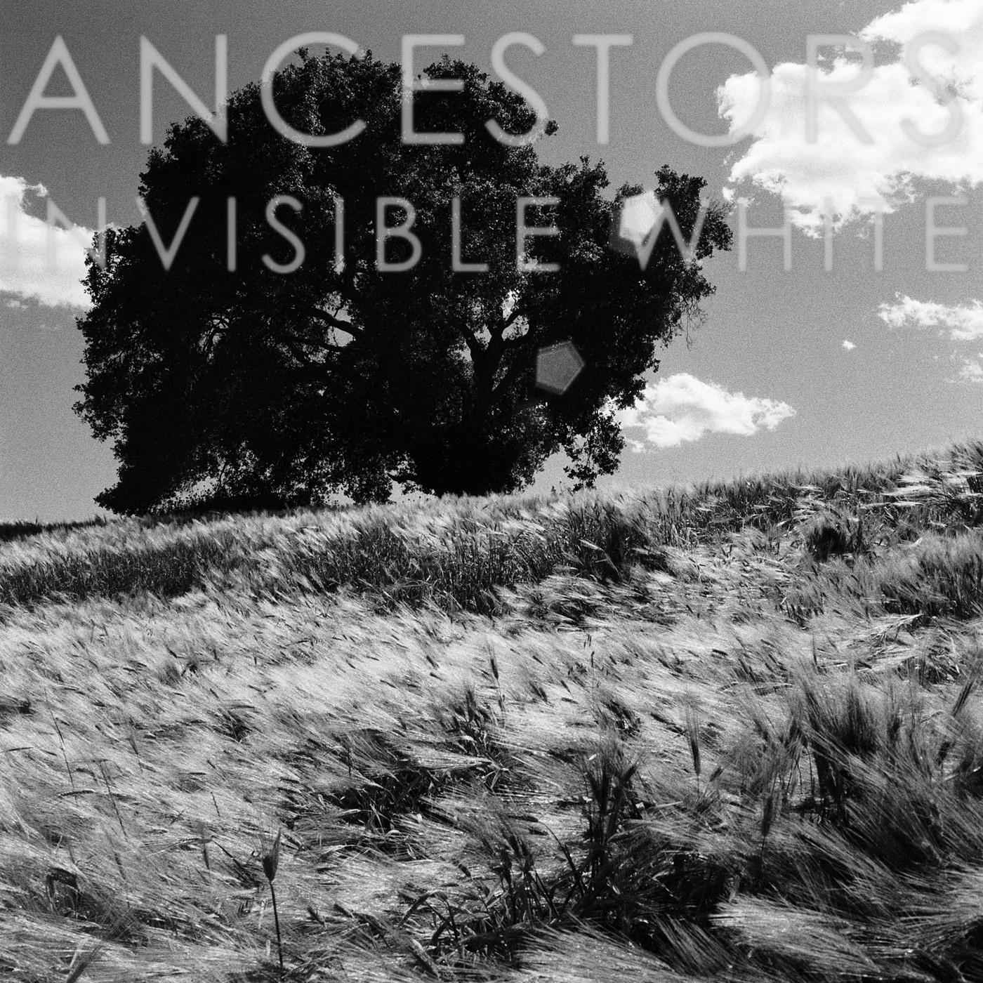 Invisible White [CD]