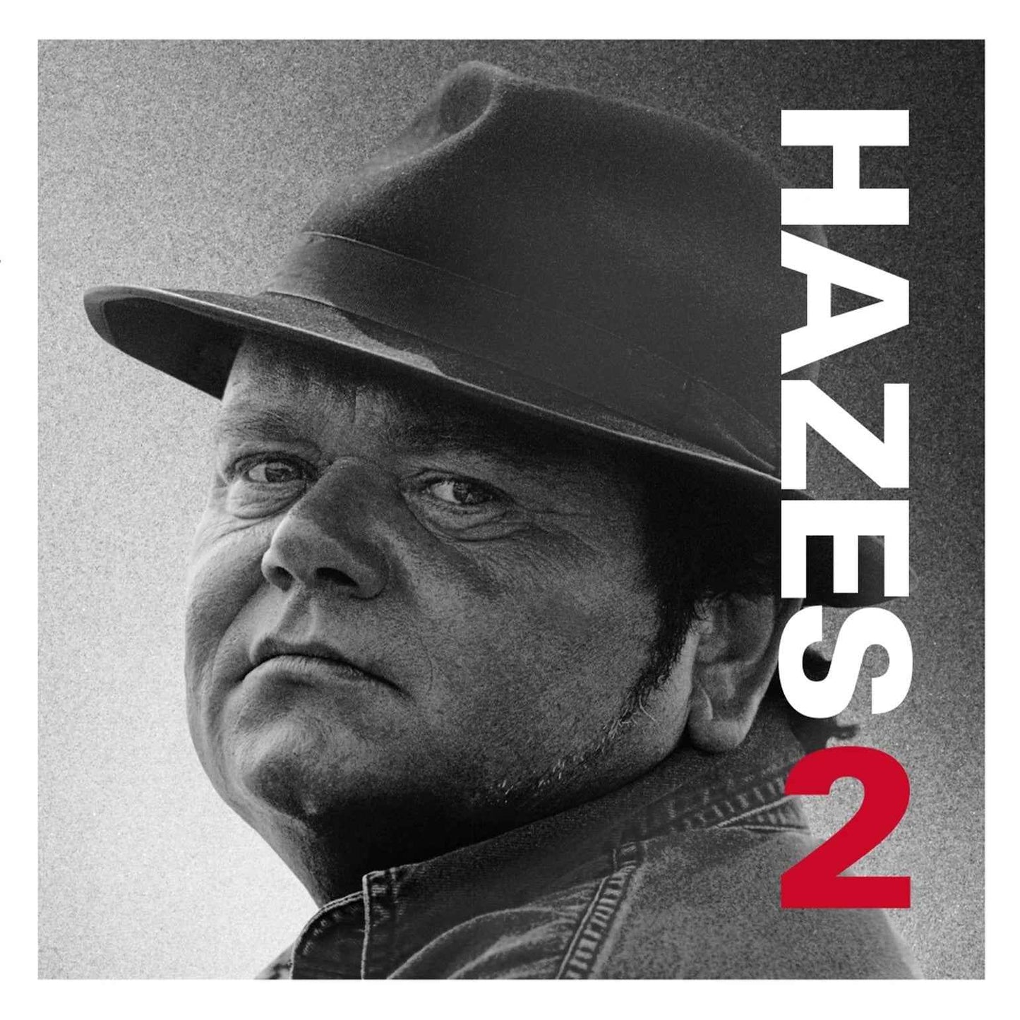 Andre Hazes - Hazes 2 [2LP] [Vinyl]