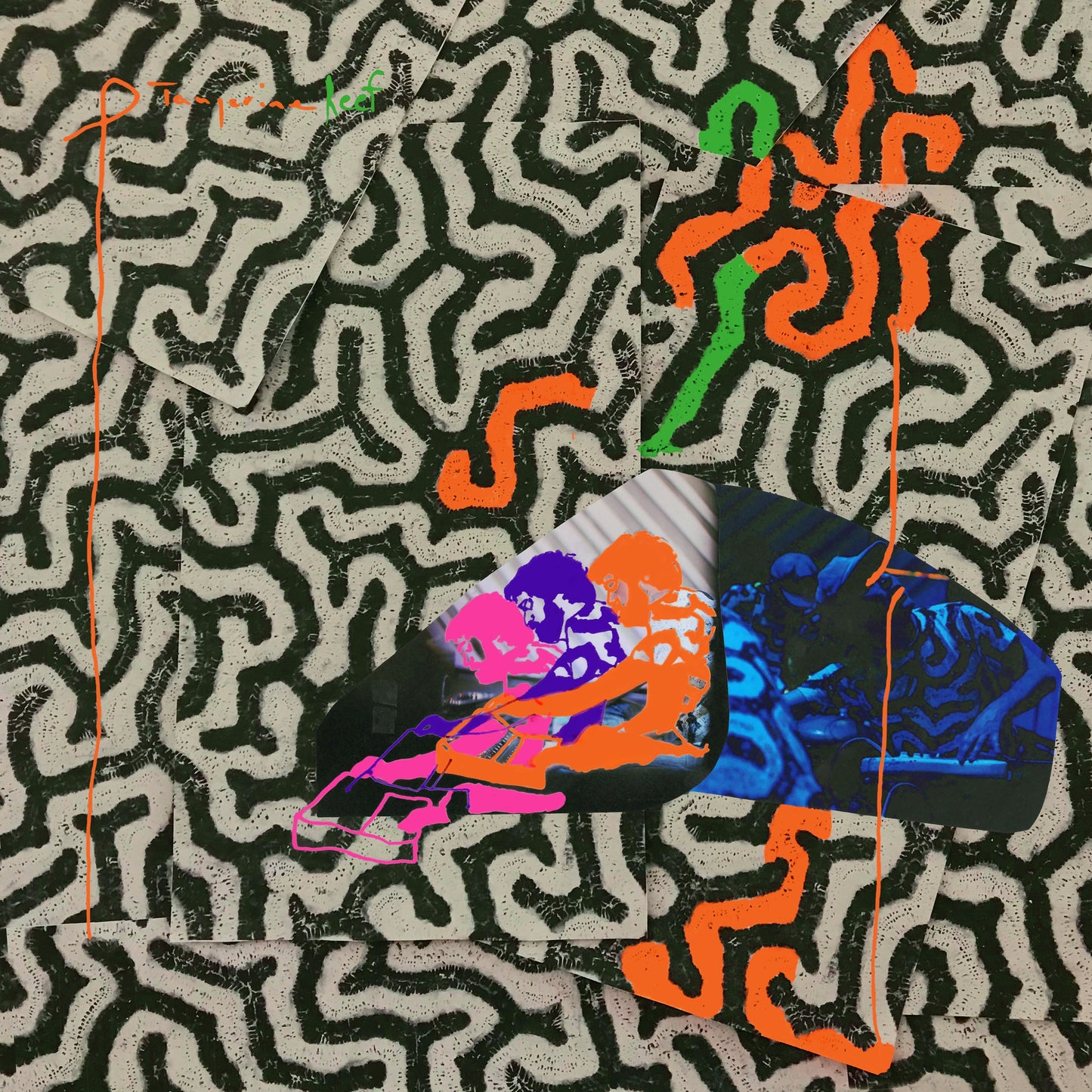 Animal Collective - Tangerine Reef [Vinyl]