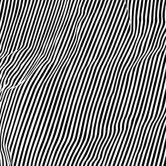 Animal Hospital - Fatique [Vinyl]