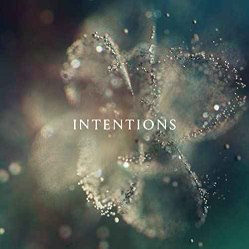 ANNA - Intentions [2 LP] [Vinyl]