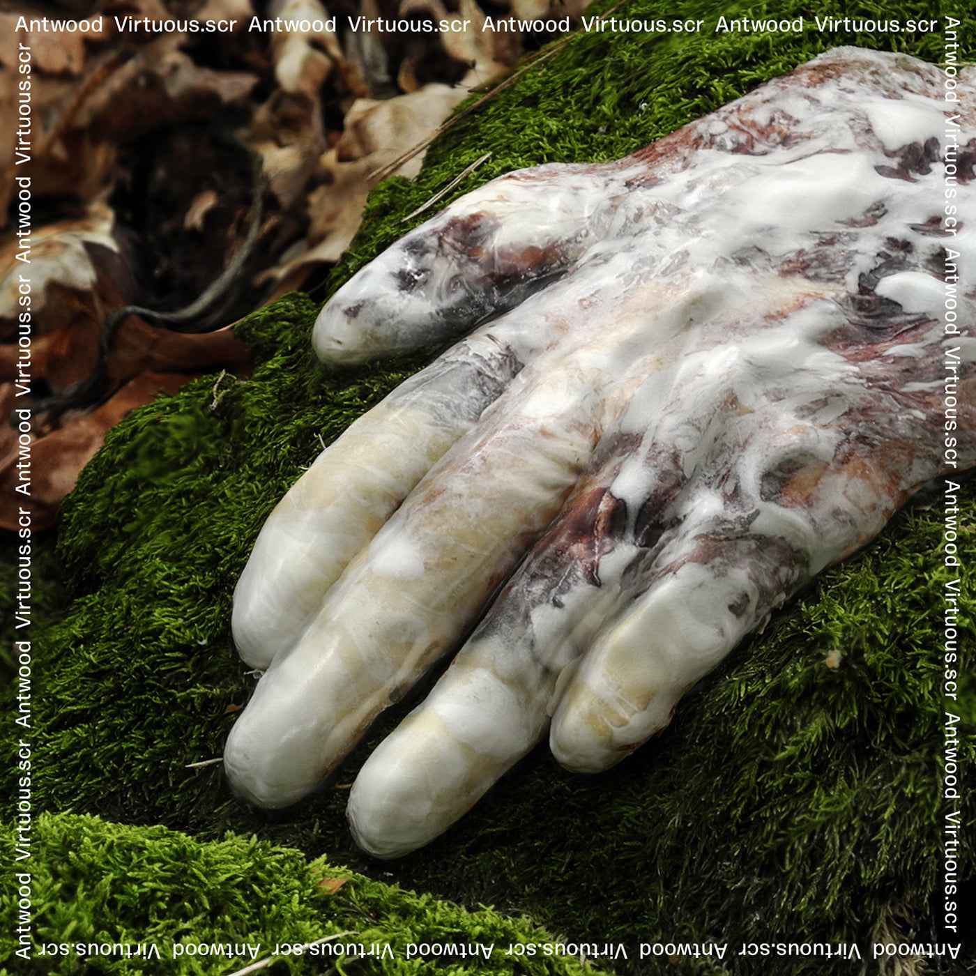 Virtuous.scr [Vinyl]