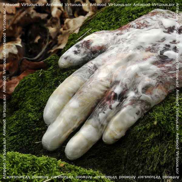 Virtuous.scr [CD]