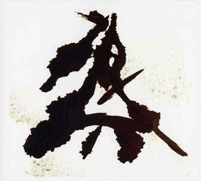 Einzelkämpfer (Lone Warrior) [CD]