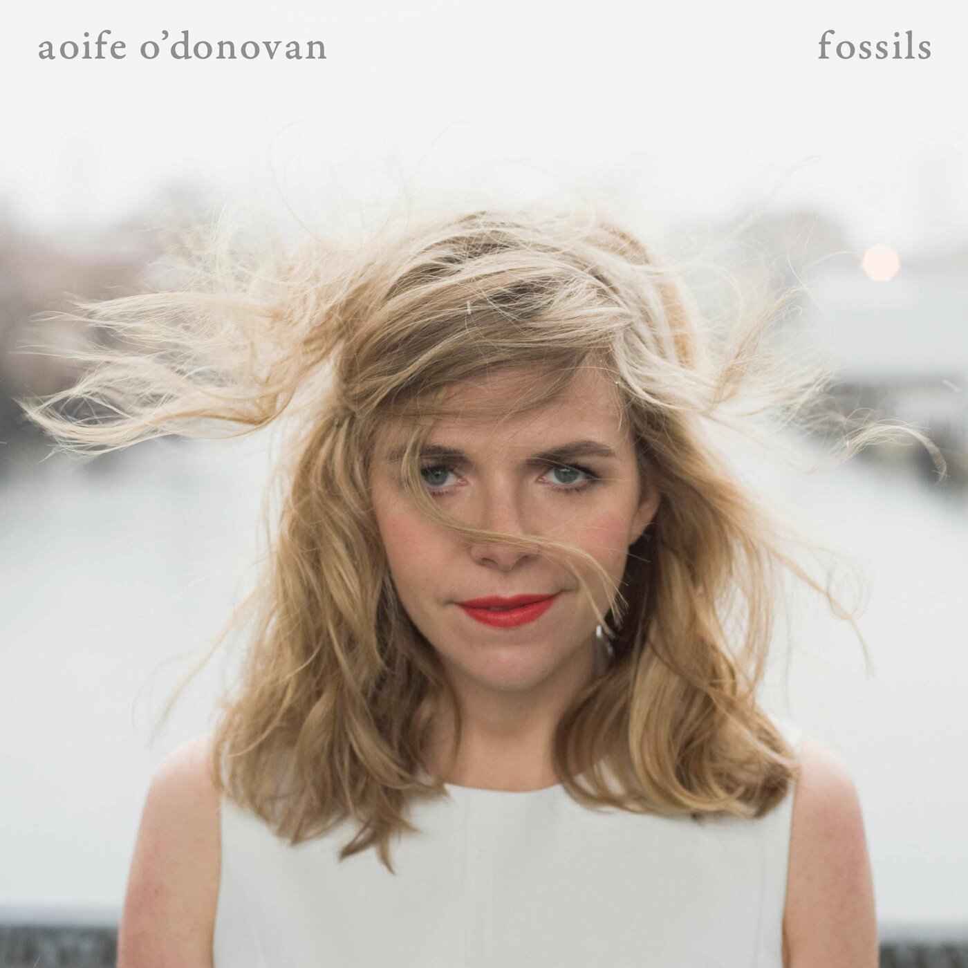 Fossils [CD]