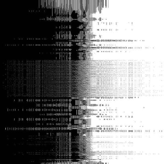 APPLICATION - Applied Remixes [Vinyl]
