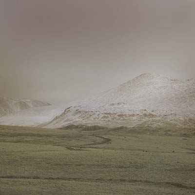 Wolf Notes [Vinyl]
