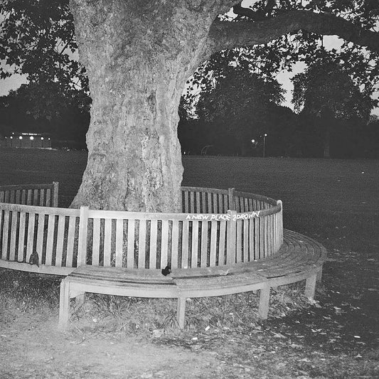 A New Place 2 Drown (Instrumentals) [Vinyl]