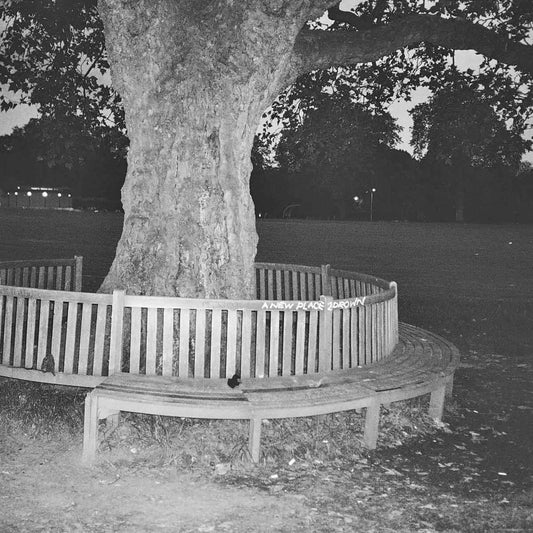 Archy Marshall - A New Place 2 Drown [Vinyl]