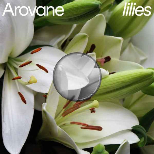 AROVANE - Lilies [Vinyl]