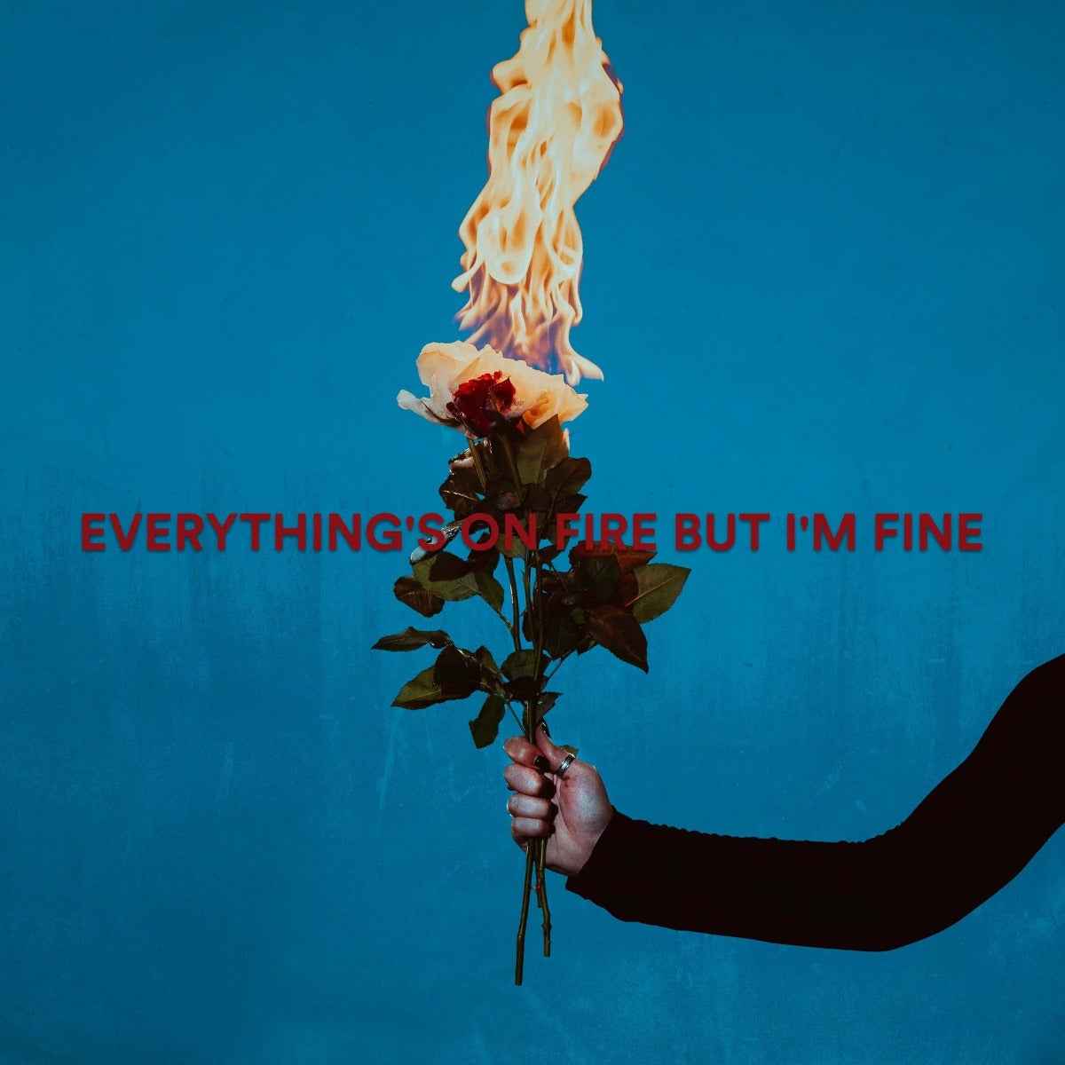 Everything's On Fire But I'm Fine [Explicit Content] (Red Marble Colored Vinyl) [Vinyl]
