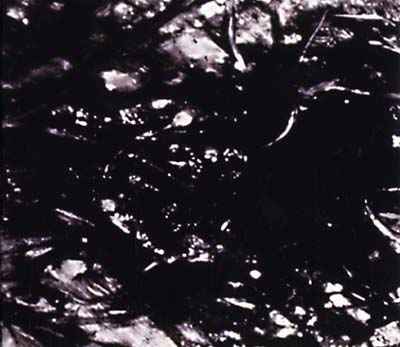 Presences Of Absences [CD]