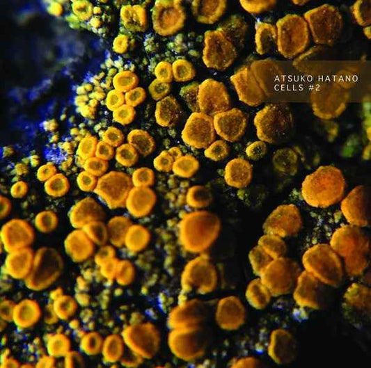 ATSUKO HATANO - Cells #2