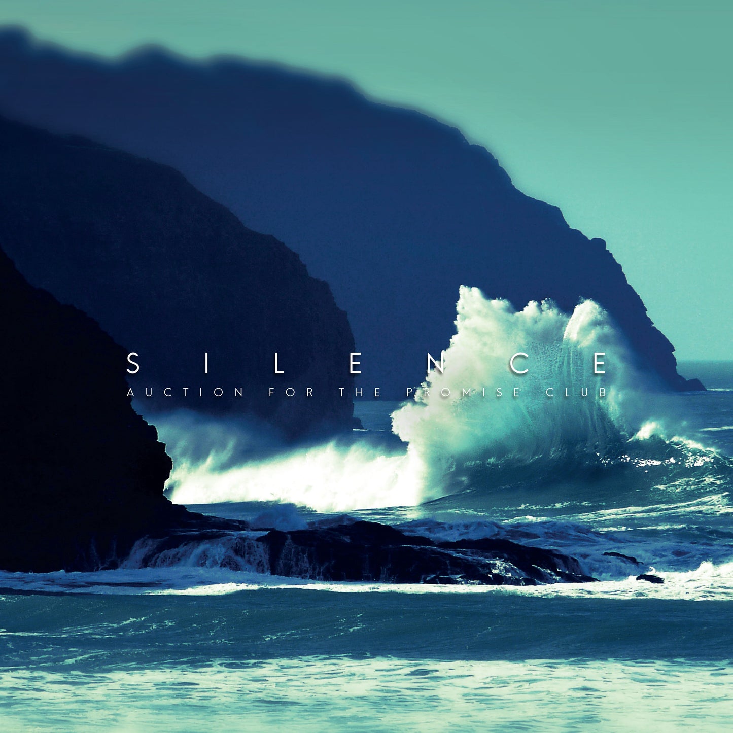 Auction For The Promise Club - Silence [Vinyl]